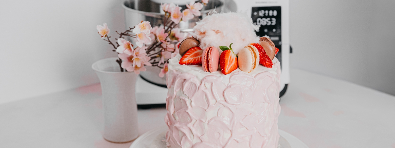 Neapolitský zmrzlinový dort s čokoládovým korpusem